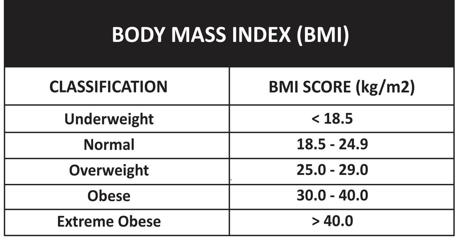 CM INDEX JapaneseClass jp